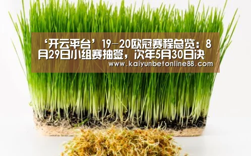 ‘开云平台’19-20欧冠赛程总览:8月29日小组赛抽签,次年5月30日决赛(图1) 开云体育