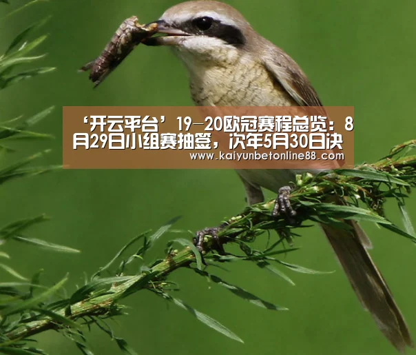 ‘开云平台’19-20欧冠赛程总览:8月29日小组赛抽签,次年5月30日决赛(图4) 开云平台
