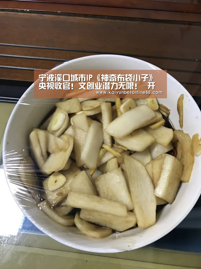 宁波溪口城市IP《神奇布袋小子》央视收官!文创业潜力无限!-开云赛事(图3) 开云平台