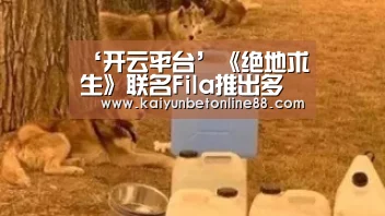 ‘开云平台’《绝地求生》联名Fila推出多款T恤、帆布鞋、背包等周边(图3) 开云体育